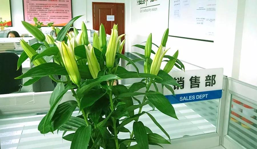 浓情七夕，最美祝福！