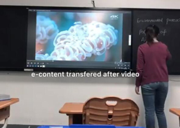 板书教学记忆蜜柚视频下载在线看课堂实用操作